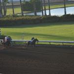 LosAl_Race_0081 (July 26, 2015)